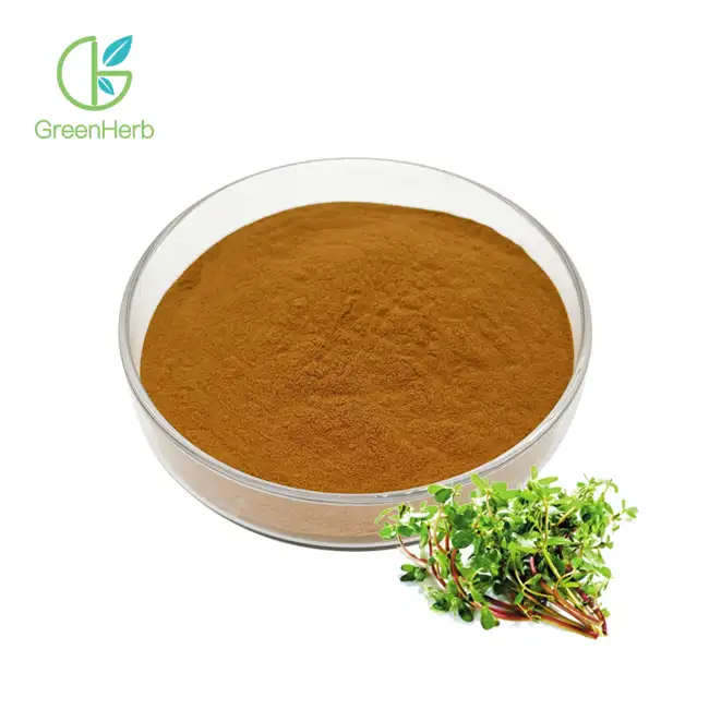 Bacopa Monnieri Extract Powder